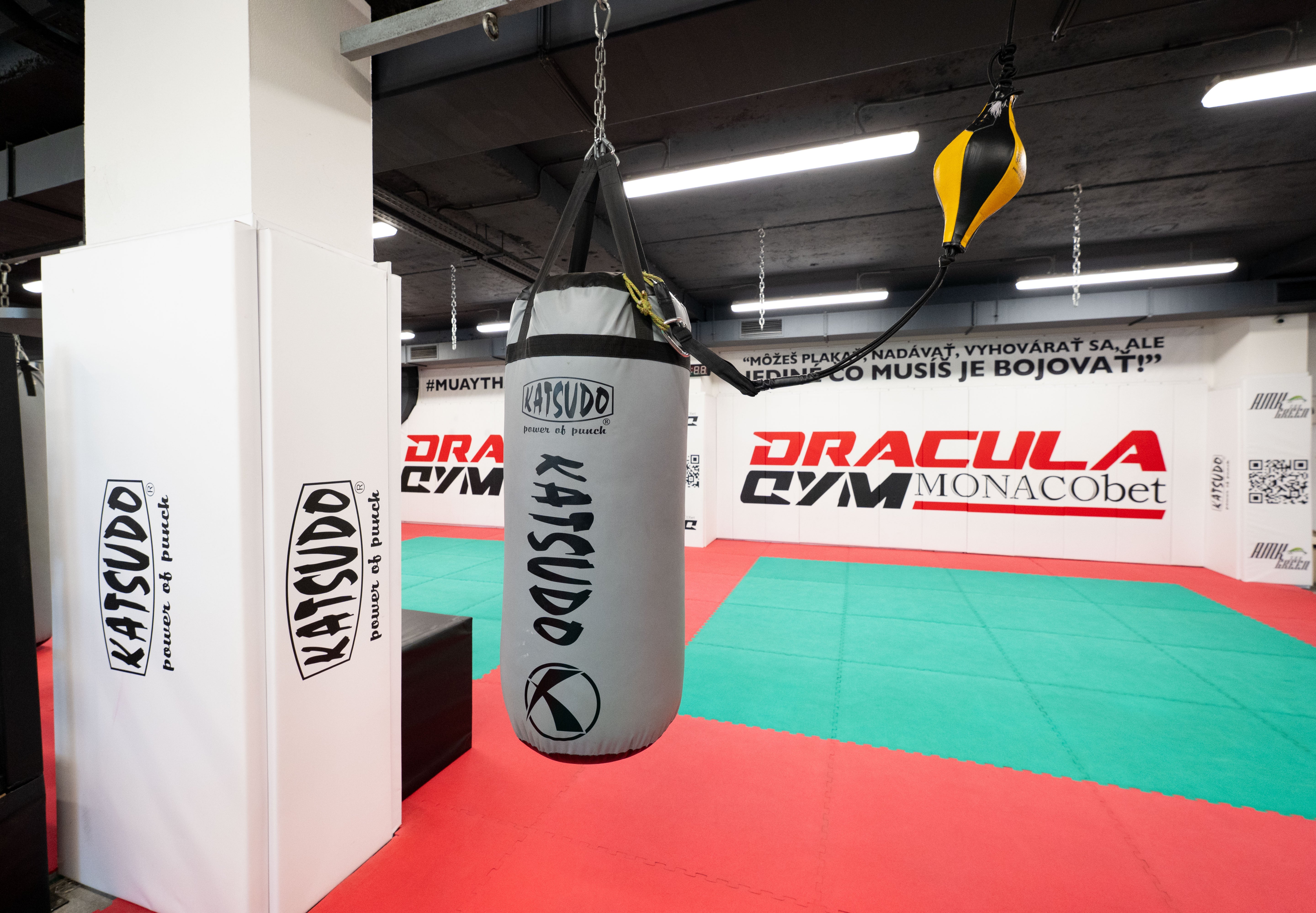 Katsudo box vrece Big boy Pro Boxing, sivé