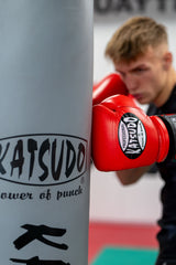 Katsudo plastelové box vrece Texa, sivé
