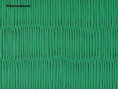 BSW Judo-Tatami, grasgrün